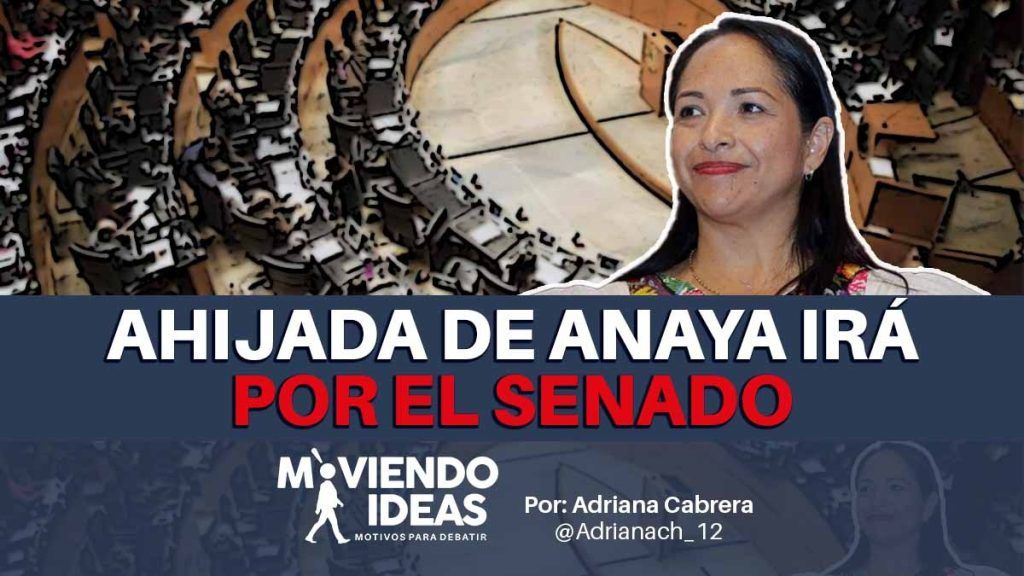 Gana candidatura del Senado ahijada política de Alberto Anaya, Liz Sánchez