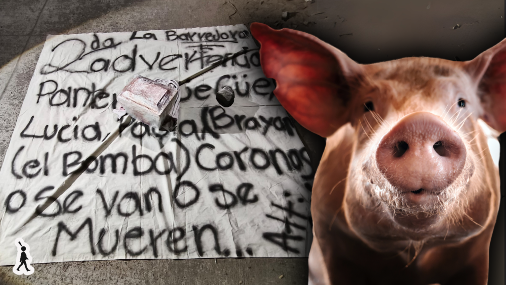 Hielera con Cabeza de Cerdo y Manta Amenazante Alarma a San Martín Texmeluca