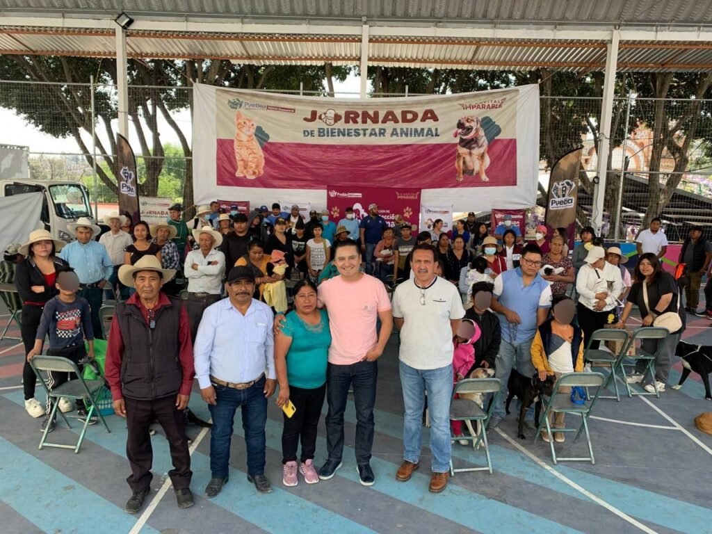 Jornada de Bienestar Animal beneficia a équidos de trabajo, perros y gatos en San Andrés Azumiatla
