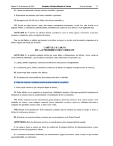 La ley de arbolado de Puebla prohíbe explícitamente el encalado