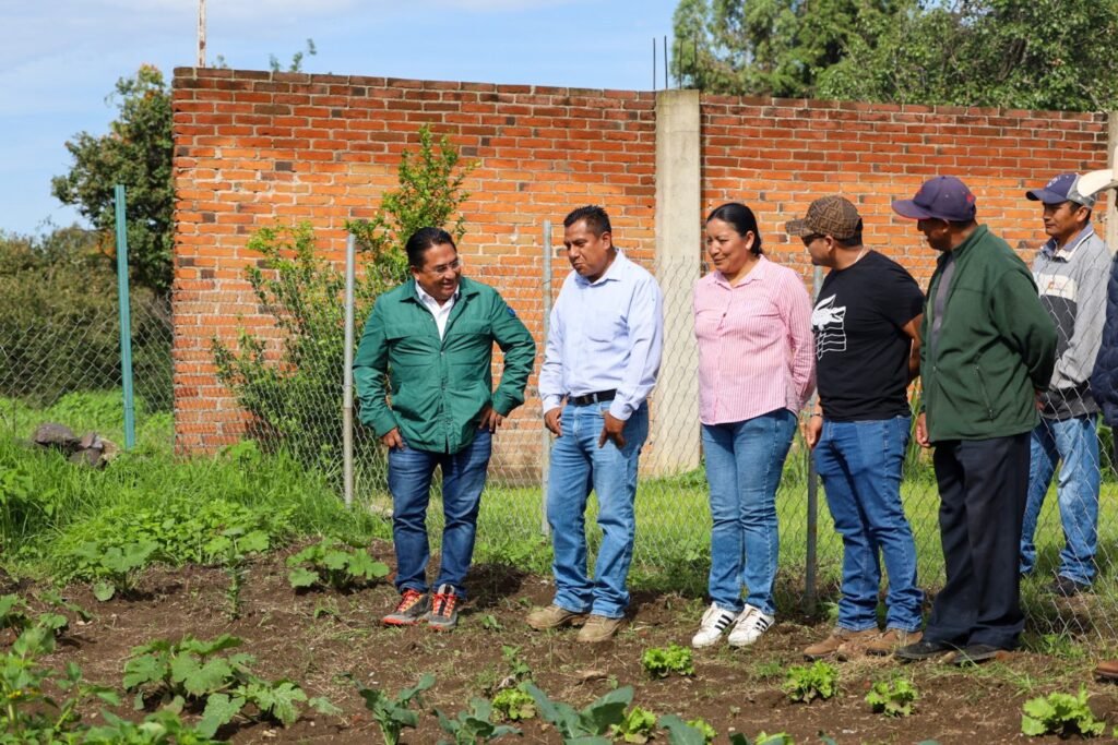 El programa de huertos familiares se implementa en zonas rurales y semiurbanas