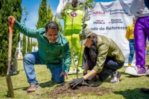 Siembran árboles en la Universidad Politécnica con apoyo del alcalde de Juan C. Bonilla
