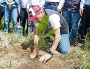El programa contempla 80 mil árboles en más de 60 hectáreas