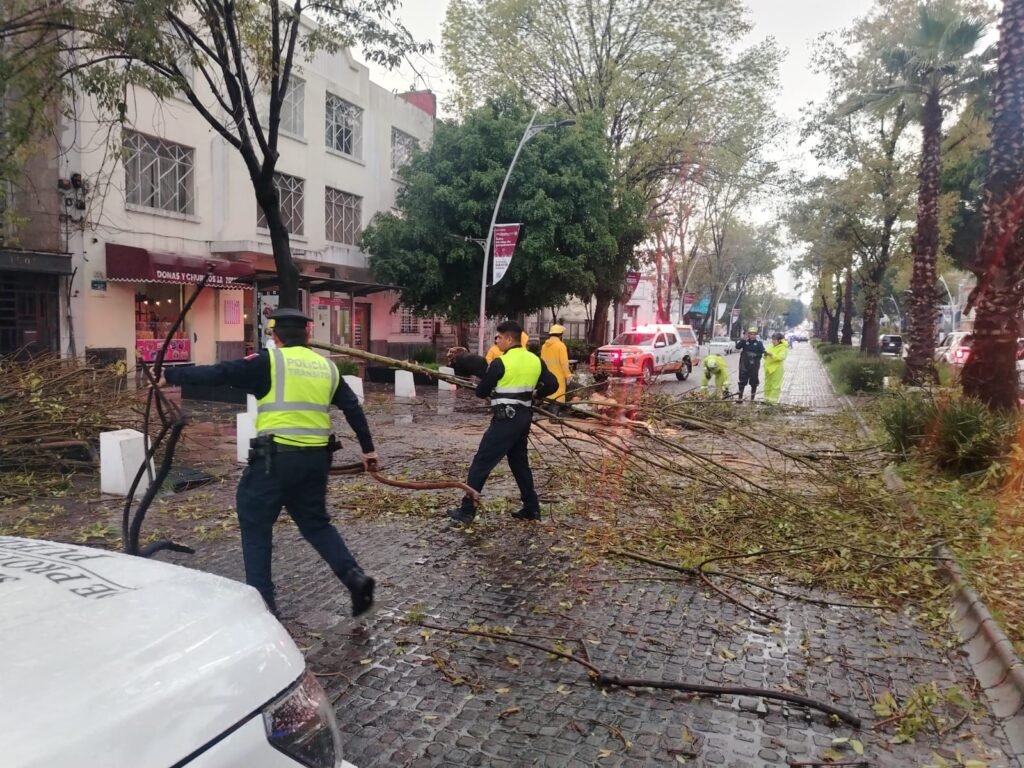 Lluvias tiran árbol de 12 metros en Avenida Juárez de Puebla