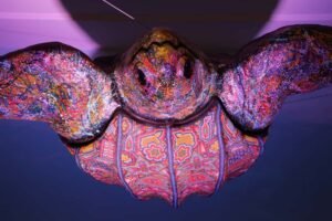 La exposición abrió el 17 de julio y estará hasta el 2 de noviembre. La entrada es libre, de lunes a domingo, de 10:00 a 20:00 h.