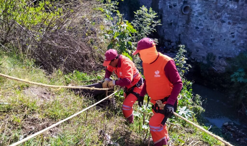 Cuadrillas municipales retiran desechos en 30 puntos críticos por lluvias