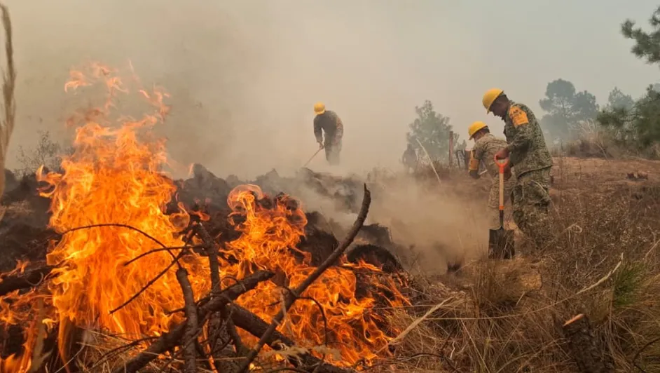 Incendio forestal en cerro de Yahualutzingo moviliza a brigadistas en ...